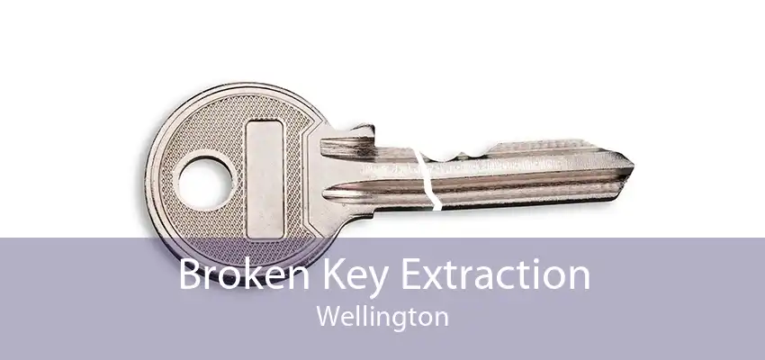 Broken Key Extraction Wellington