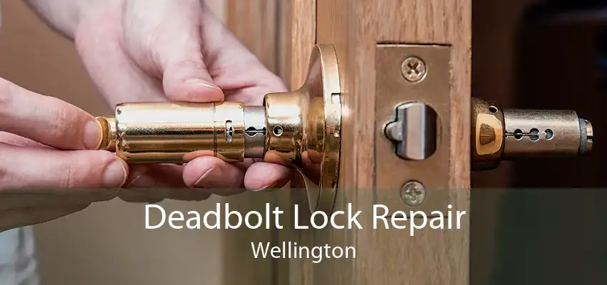 Deadbolt Lock Repair Wellington