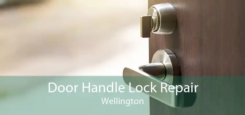 Door Handle Lock Repair Wellington
