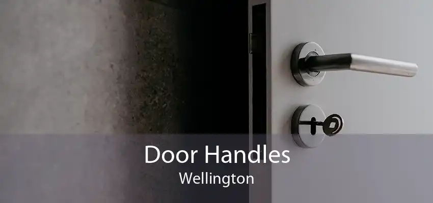 Door Handles Wellington