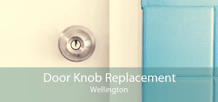 Door Knob Replacement Wellington