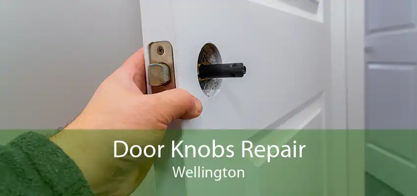 Door Knobs Repair Wellington