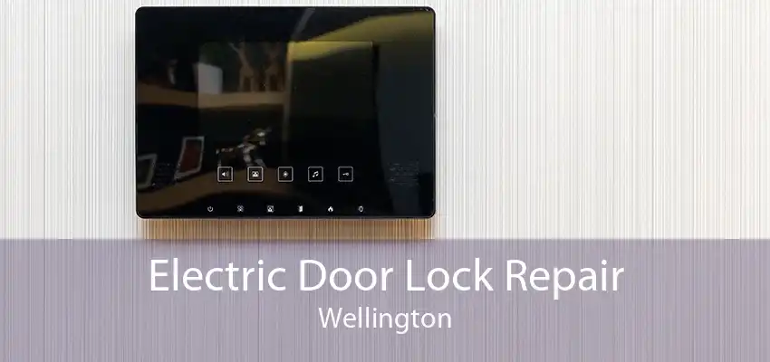 Electric Door Lock Repair Wellington