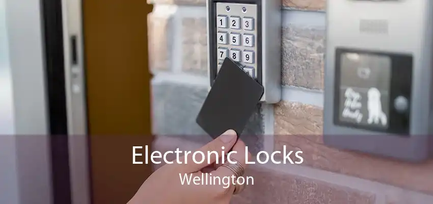 Electronic Locks Wellington