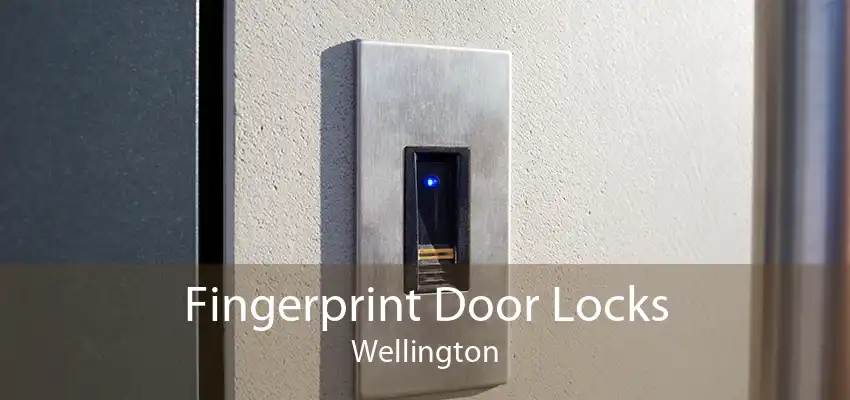 Fingerprint Door Locks Wellington