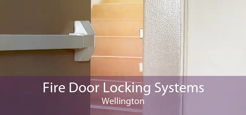 Fire Door Locking Systems Wellington