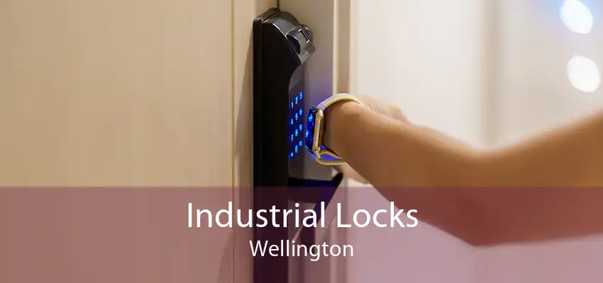 Industrial Locks Wellington