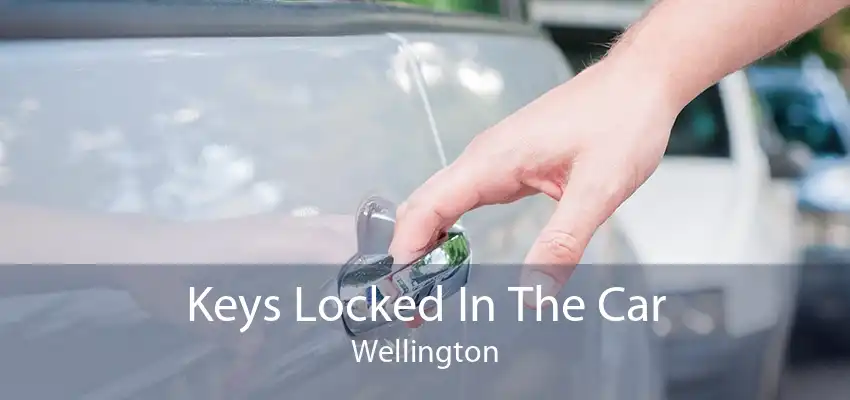 Keys Locked In The Car Wellington