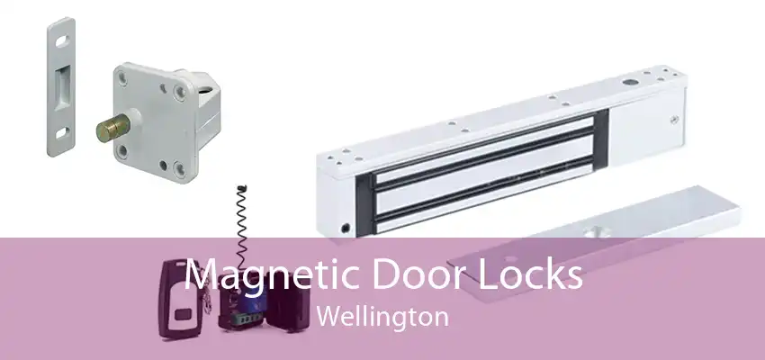 Magnetic Door Locks Wellington