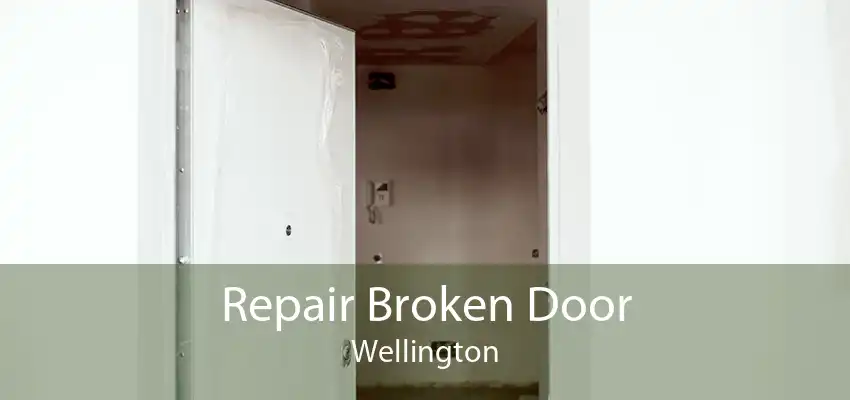 Repair Broken Door Wellington