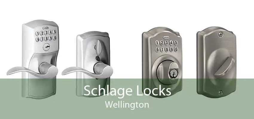 Schlage Locks Wellington
