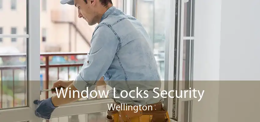 Window Locks Security Wellington