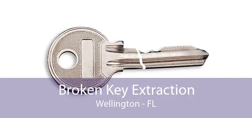 Broken Key Extraction Wellington - FL