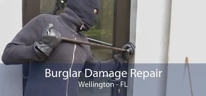 Burglar Damage Repair Wellington - FL