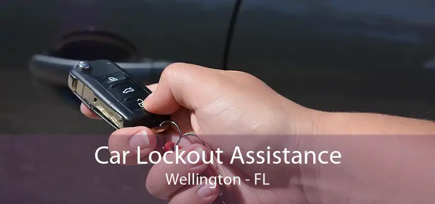 Car Lockout Assistance Wellington - FL