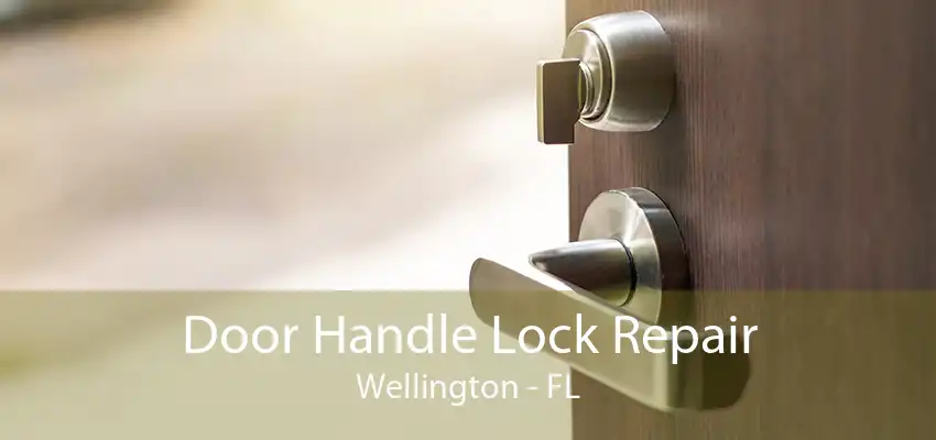 Door Handle Lock Repair Wellington - FL