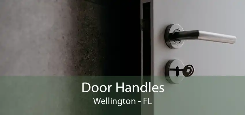 Door Handles Wellington - FL