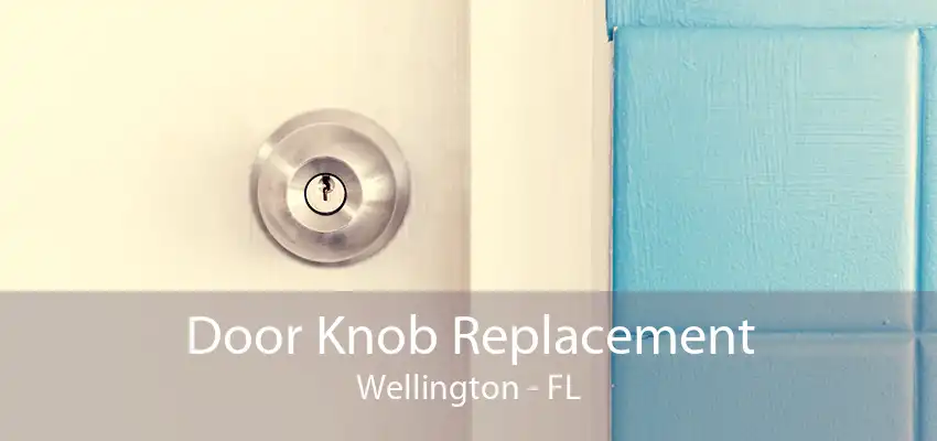 Door Knob Replacement Wellington - FL