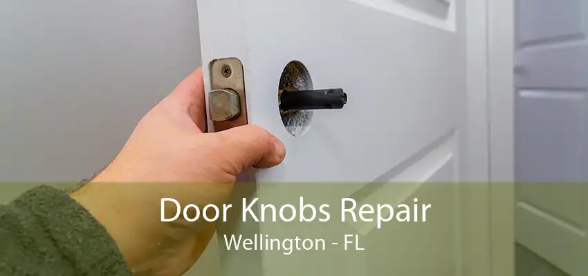 Door Knobs Repair Wellington - FL