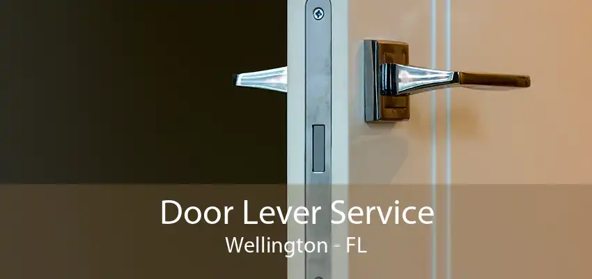 Door Lever Service Wellington - FL