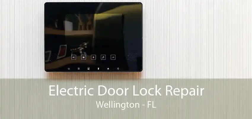 Electric Door Lock Repair Wellington - FL