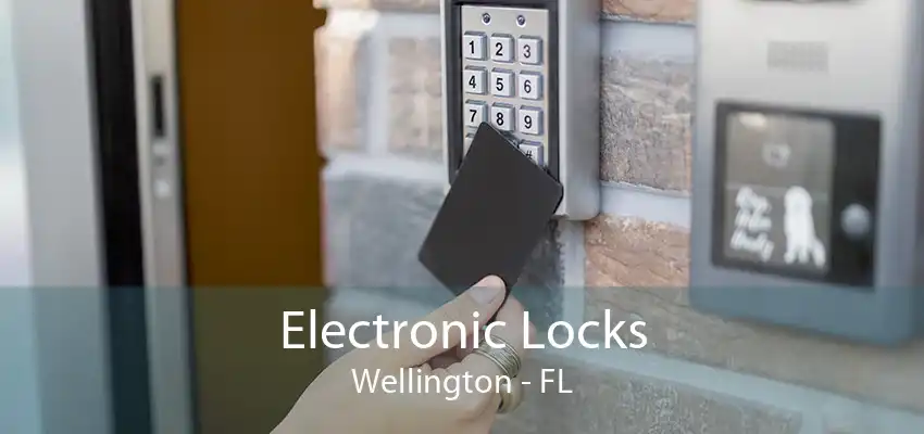 Electronic Locks Wellington - FL