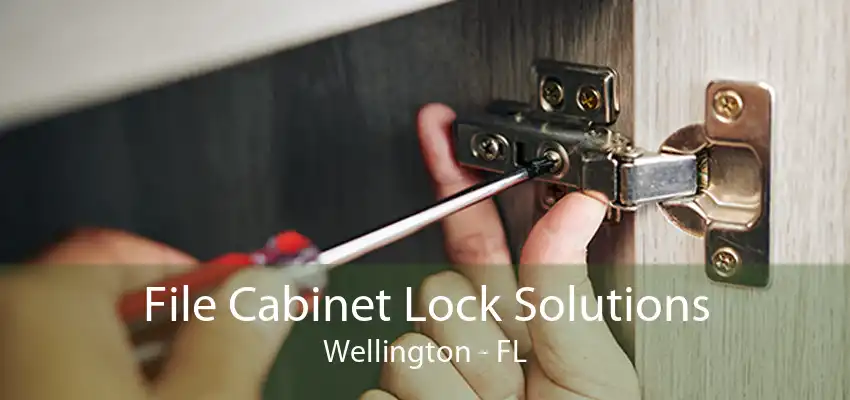 File Cabinet Lock Solutions Wellington - FL