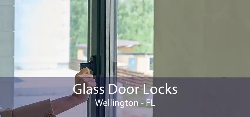 Glass Door Locks Wellington - FL