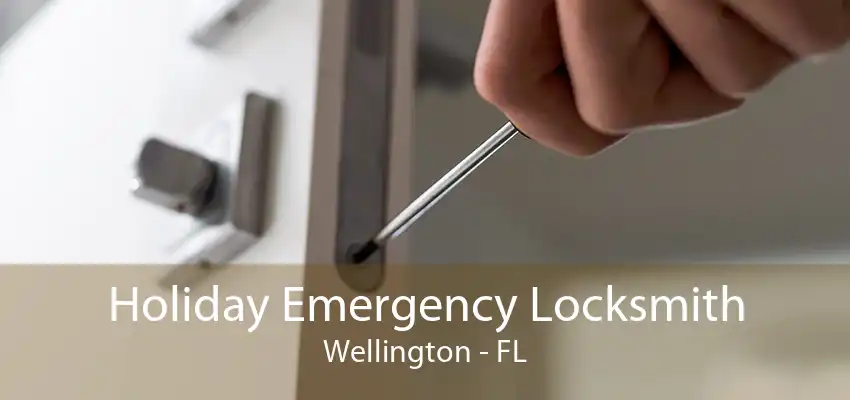 Holiday Emergency Locksmith Wellington - FL