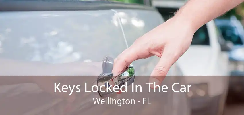 Keys Locked In The Car Wellington - FL