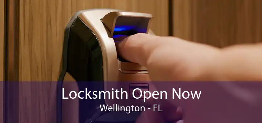 Locksmith Open Now Wellington - FL