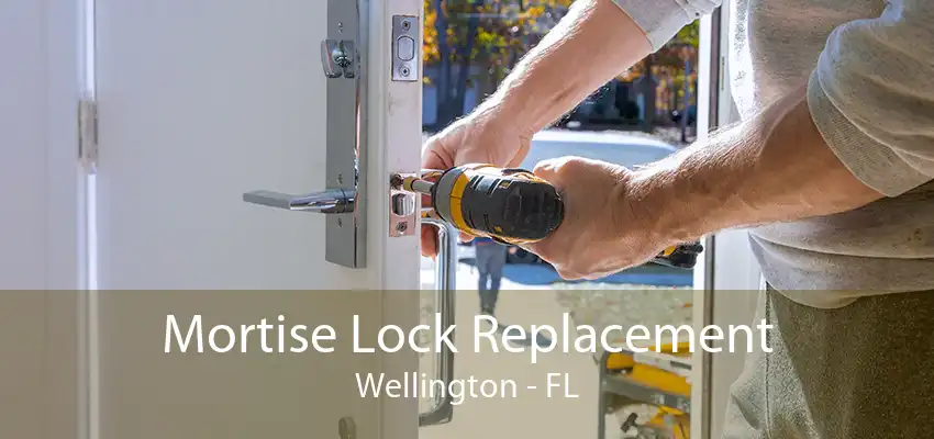 Mortise Lock Replacement Wellington - FL