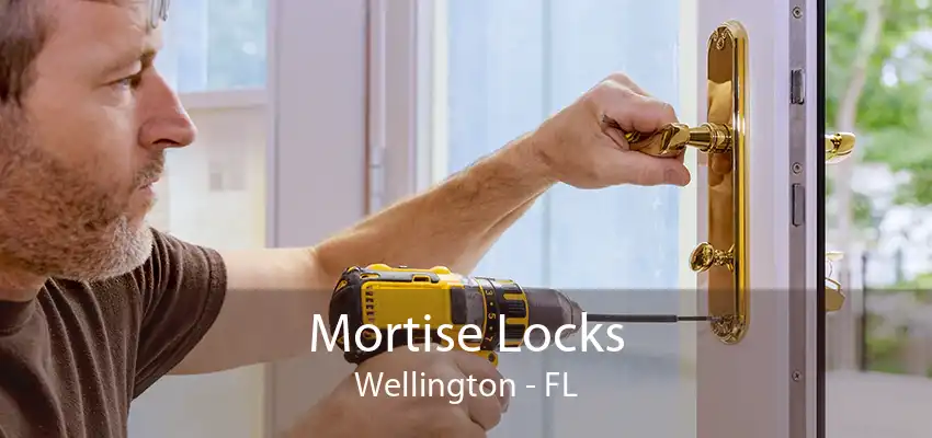 Mortise Locks Wellington - FL