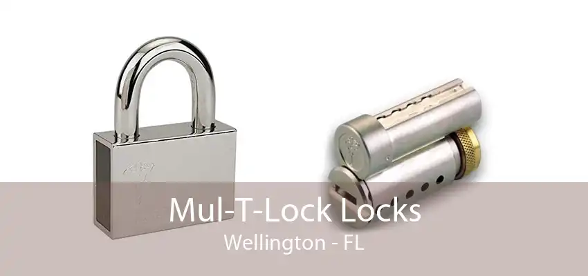 Mul-T-Lock Locks Wellington - FL