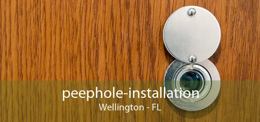 peephole-installation Wellington - FL