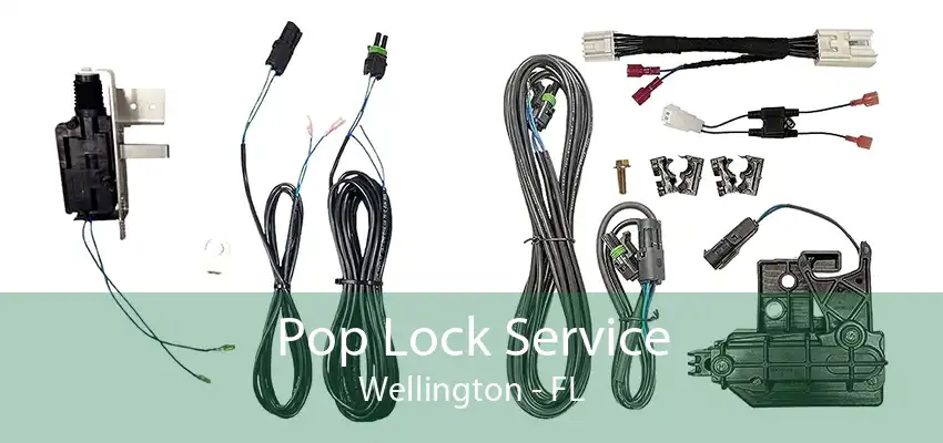 Pop Lock Service Wellington - FL