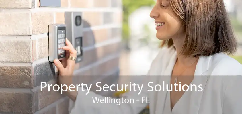 Property Security Solutions Wellington - FL