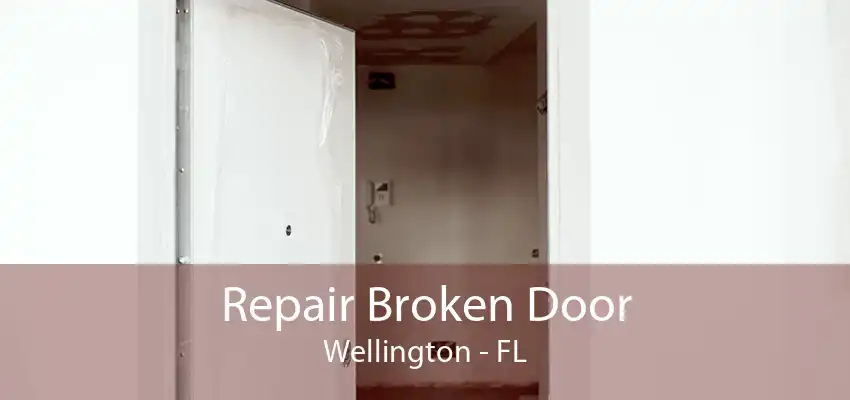 Repair Broken Door Wellington - FL