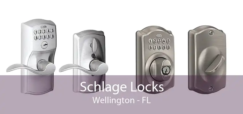 Schlage Locks Wellington - FL